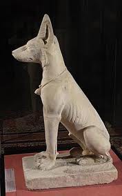 chien